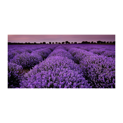 Printed glass wall art Lavender field