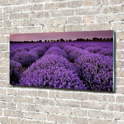 Printed glass wall art Lavender field