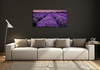 Printed glass wall art Lavender field