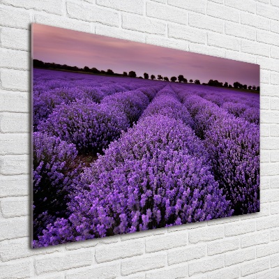 Printed glass wall art Lavender field