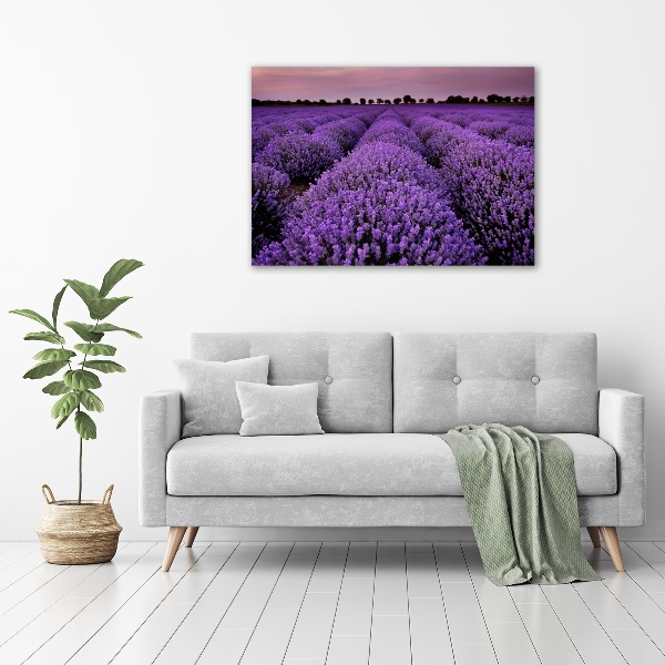 Printed glass wall art Lavender field