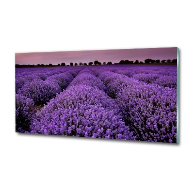 Printed glass wall art Lavender field