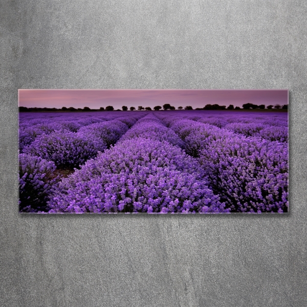 Printed glass wall art Lavender field