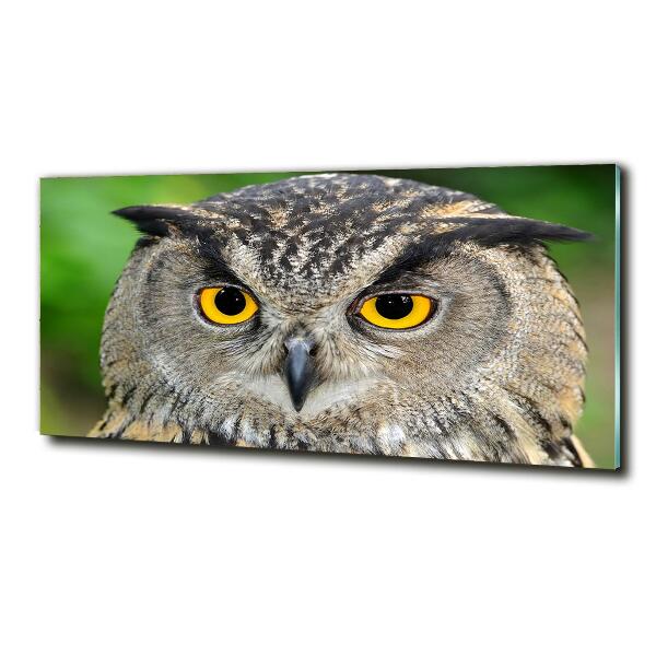 Glass picture wall art Owl