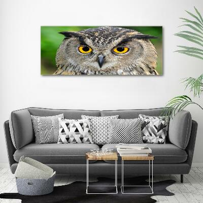 Glass picture wall art Owl