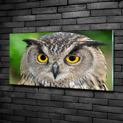 Glass picture wall art Owl