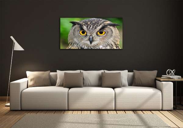 Glass picture wall art Owl