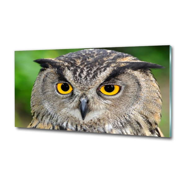 Glass picture wall art Owl