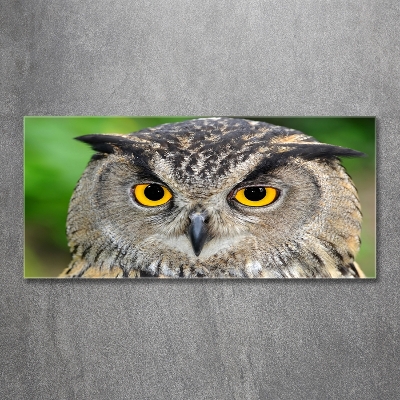 Glass picture wall art Owl