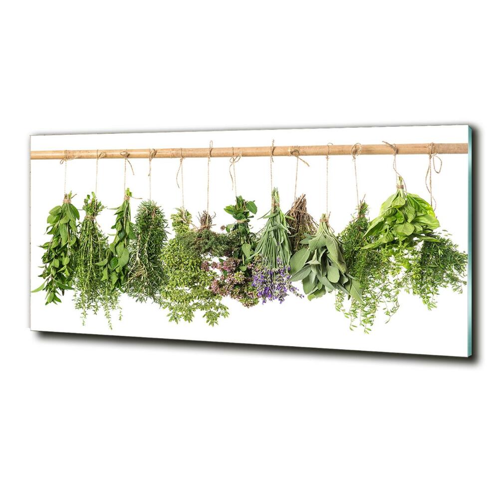 Glass picture wall art Herbs on a string