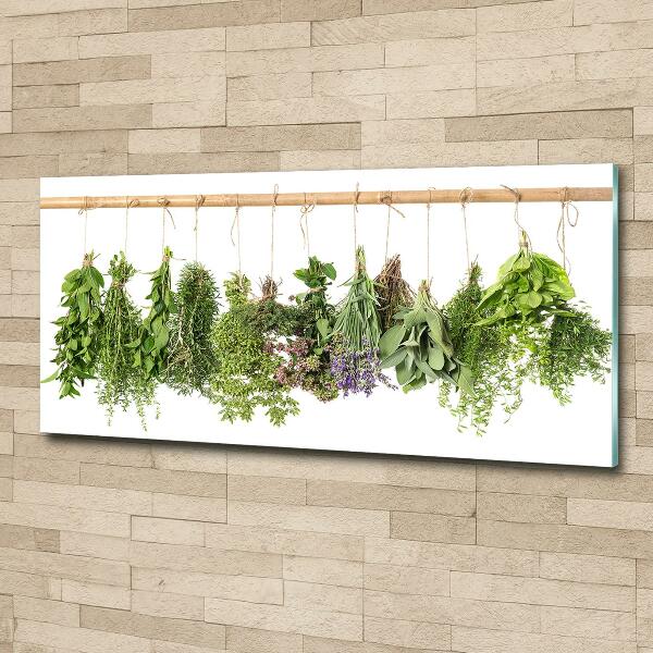 Glass picture wall art Herbs on a string