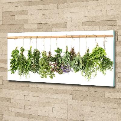 Glass picture wall art Herbs on a string