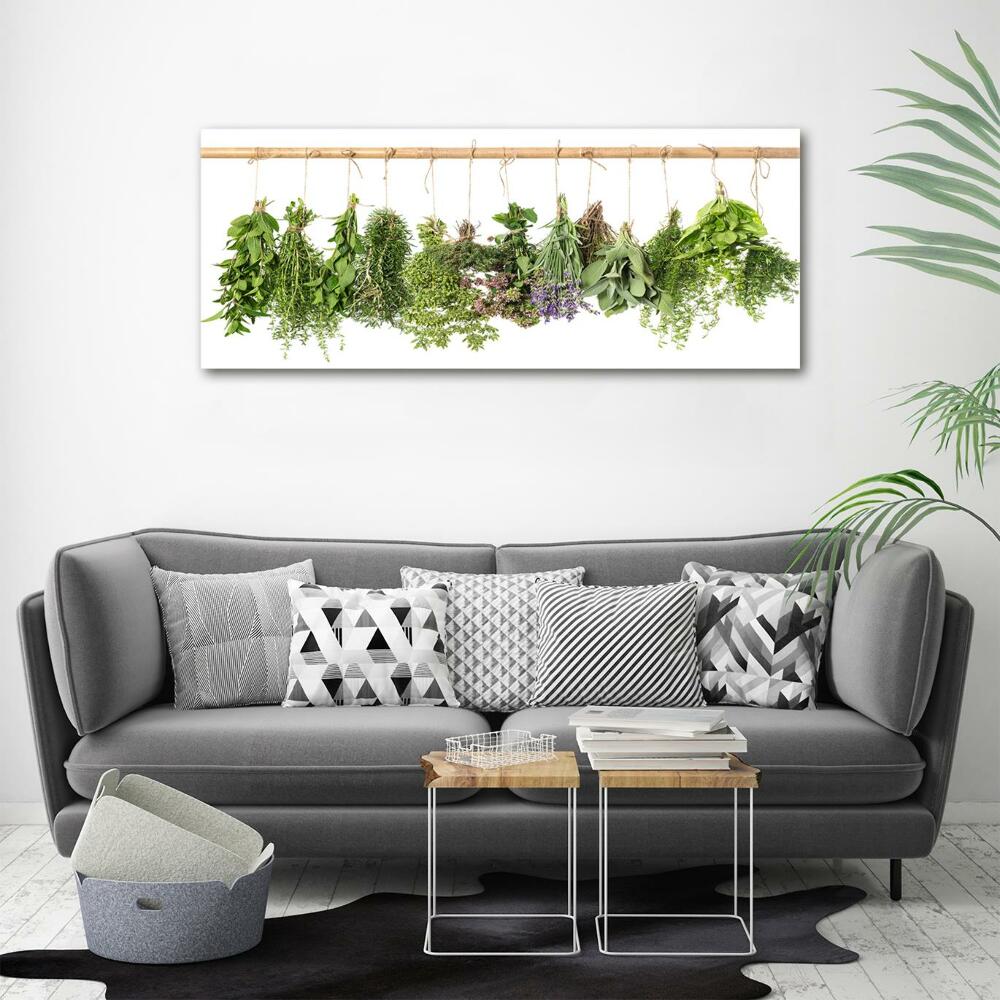 Glass picture wall art Herbs on a string