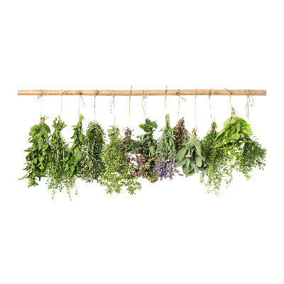 Glass picture wall art Herbs on a string