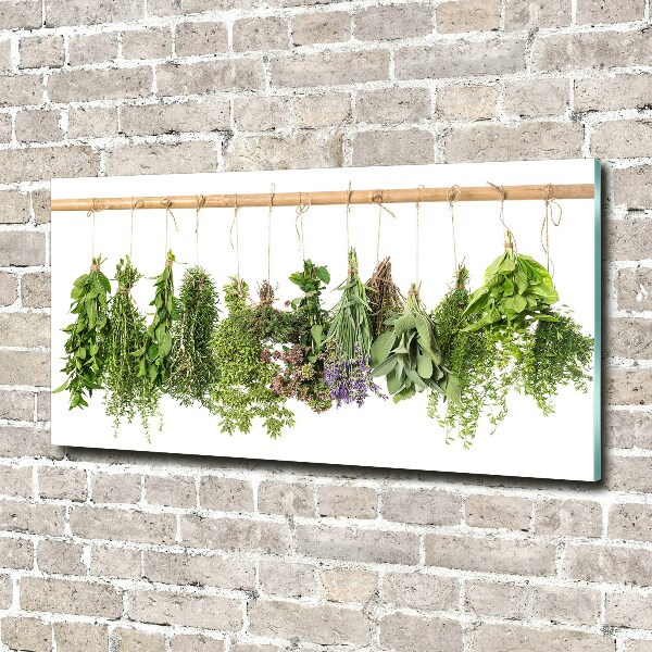 Glass picture wall art Herbs on a string