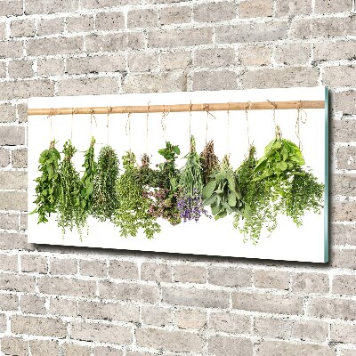 Glass picture wall art Herbs on a string