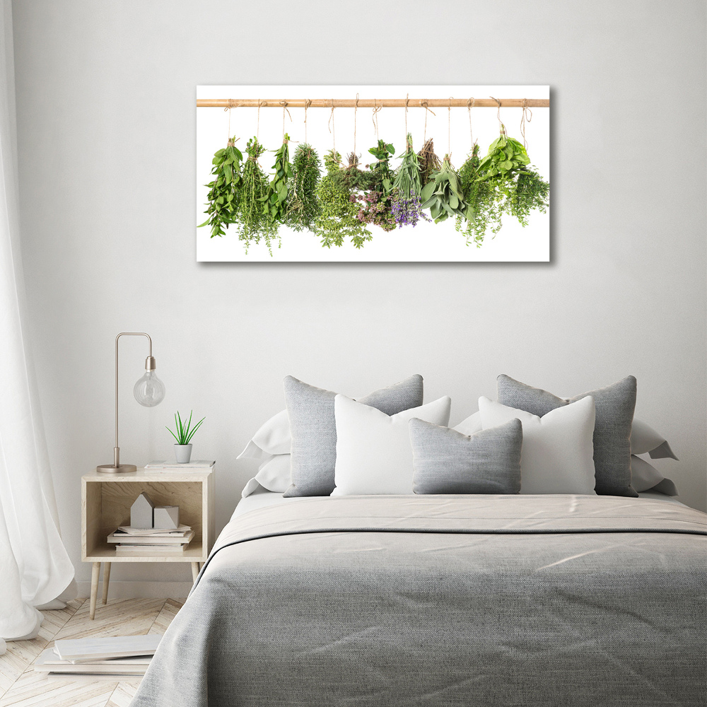 Glass picture wall art Herbs on a string