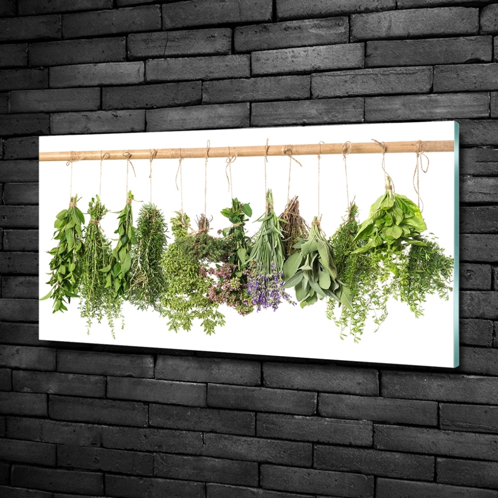 Glass picture wall art Herbs on a string