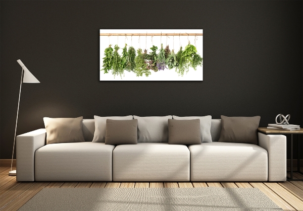 Glass picture wall art Herbs on a string