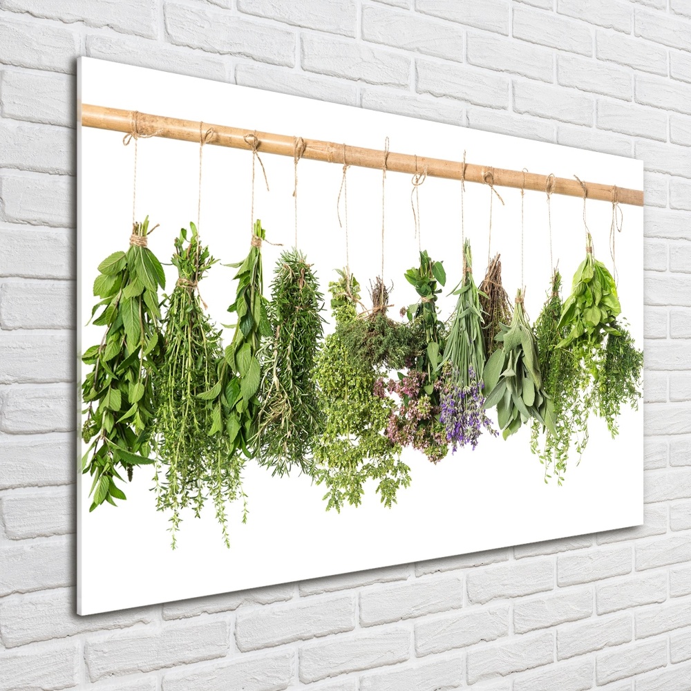 Glass picture wall art Herbs on a string