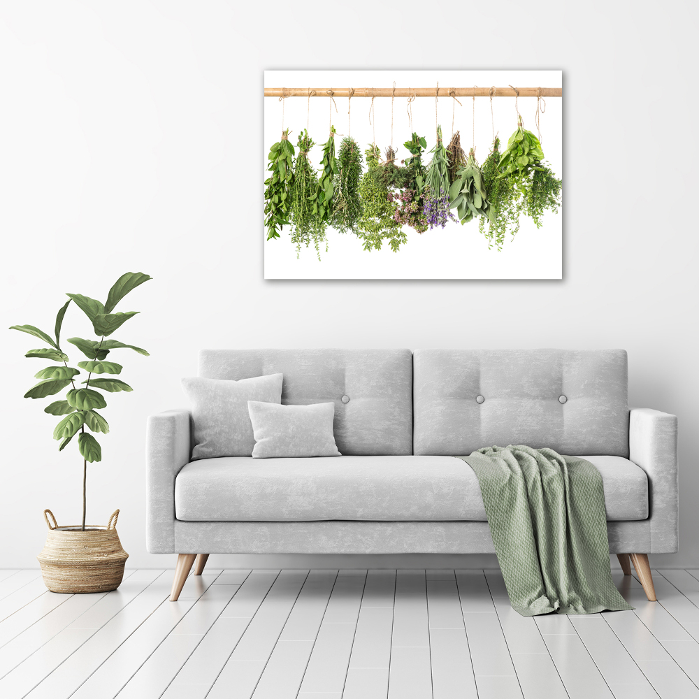 Glass picture wall art Herbs on a string