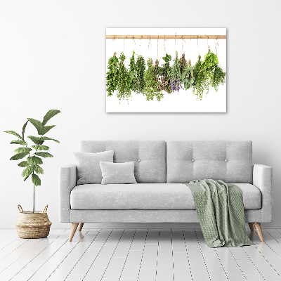 Glass picture wall art Herbs on a string