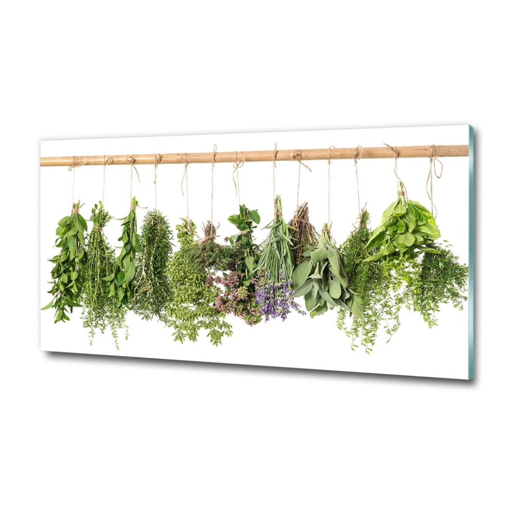 Glass picture wall art Herbs on a string