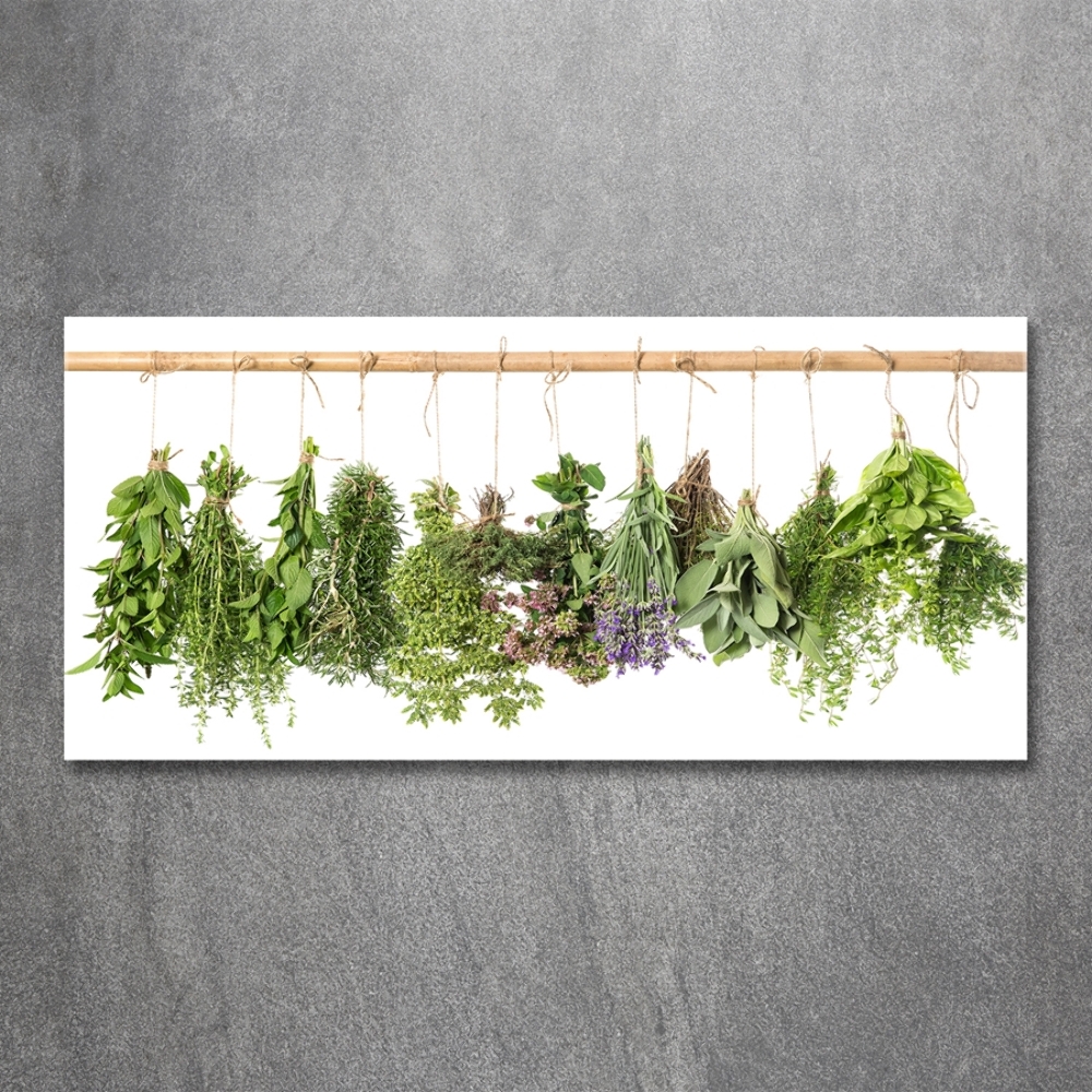 Glass picture wall art Herbs on a string