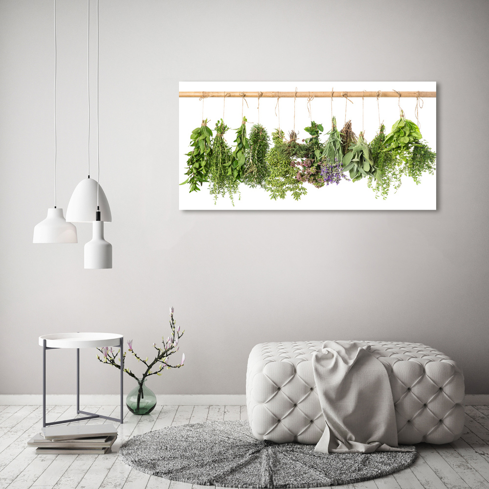 Glass picture wall art Herbs on a string