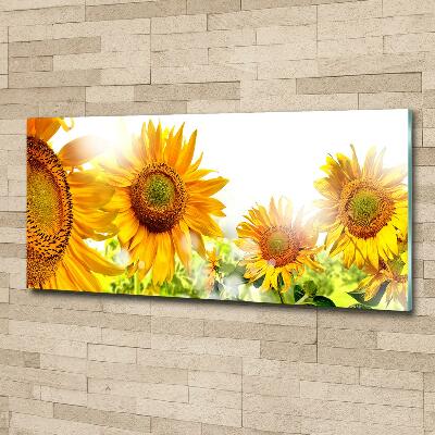 Printed glass wall art Sunflowers