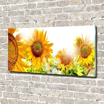 Printed glass wall art Sunflowers