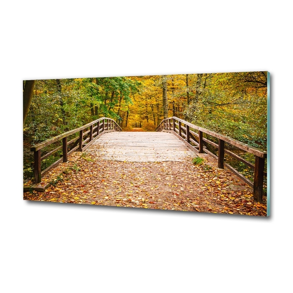 Glass wall art Bridge in the forest autumn