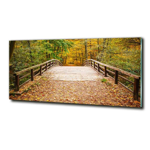 Glass wall art Bridge in the forest autumn