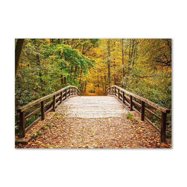 Glass wall art Bridge in the forest autumn