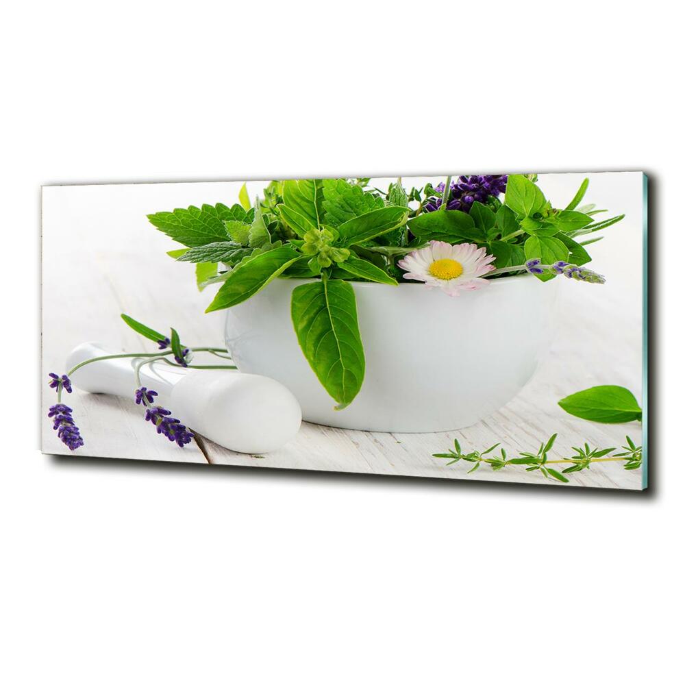 Photo printed on glass Mortar and herbs