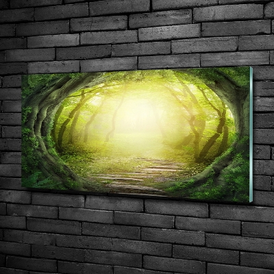 Glass wall art large Tunnel of trees