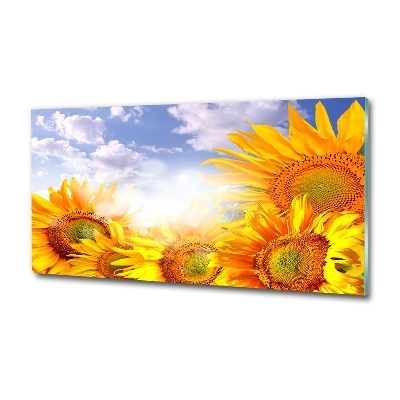 Glass wall art large Sunflowers