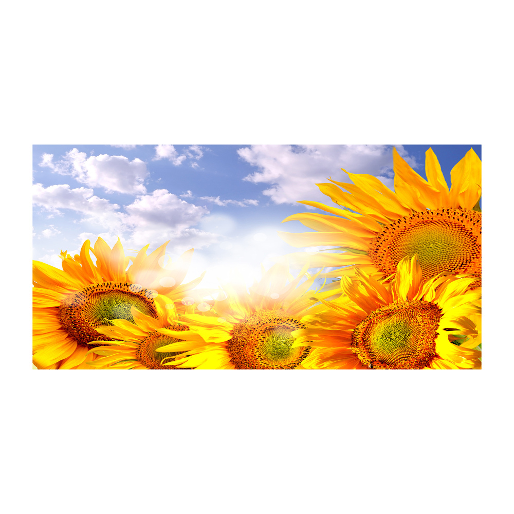 Glass wall art large Sunflowers