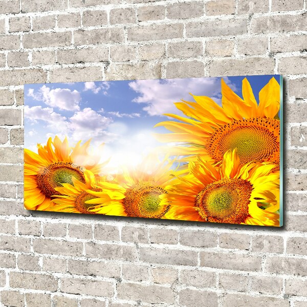 Glass wall art large Sunflowers