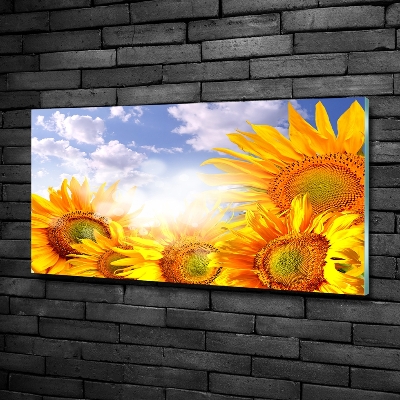 Glass wall art large Sunflowers