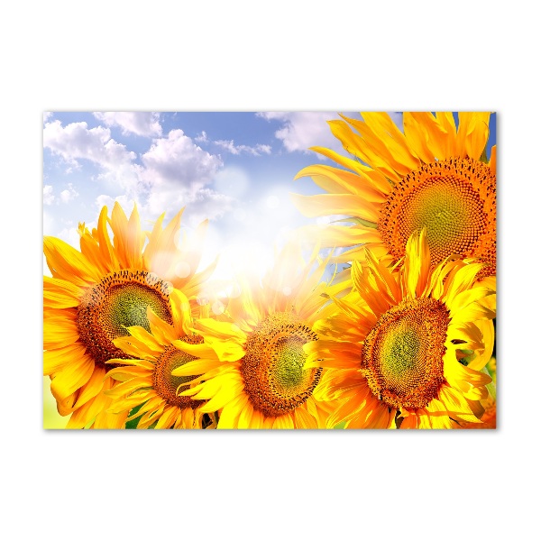 Glass wall art large Sunflowers