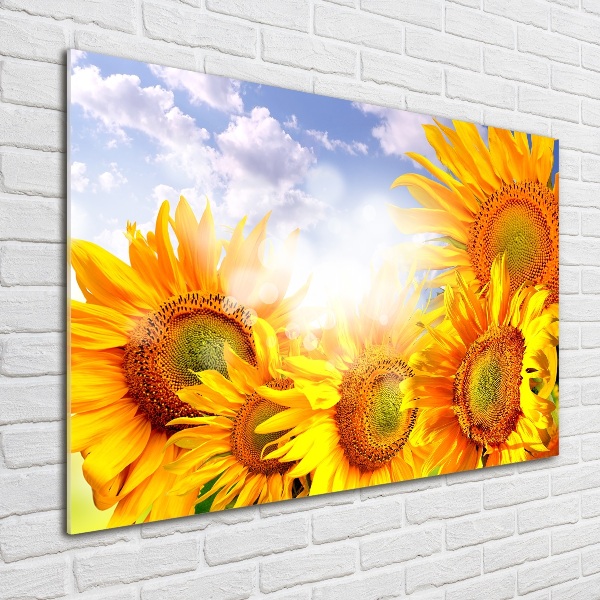 Glass wall art large Sunflowers