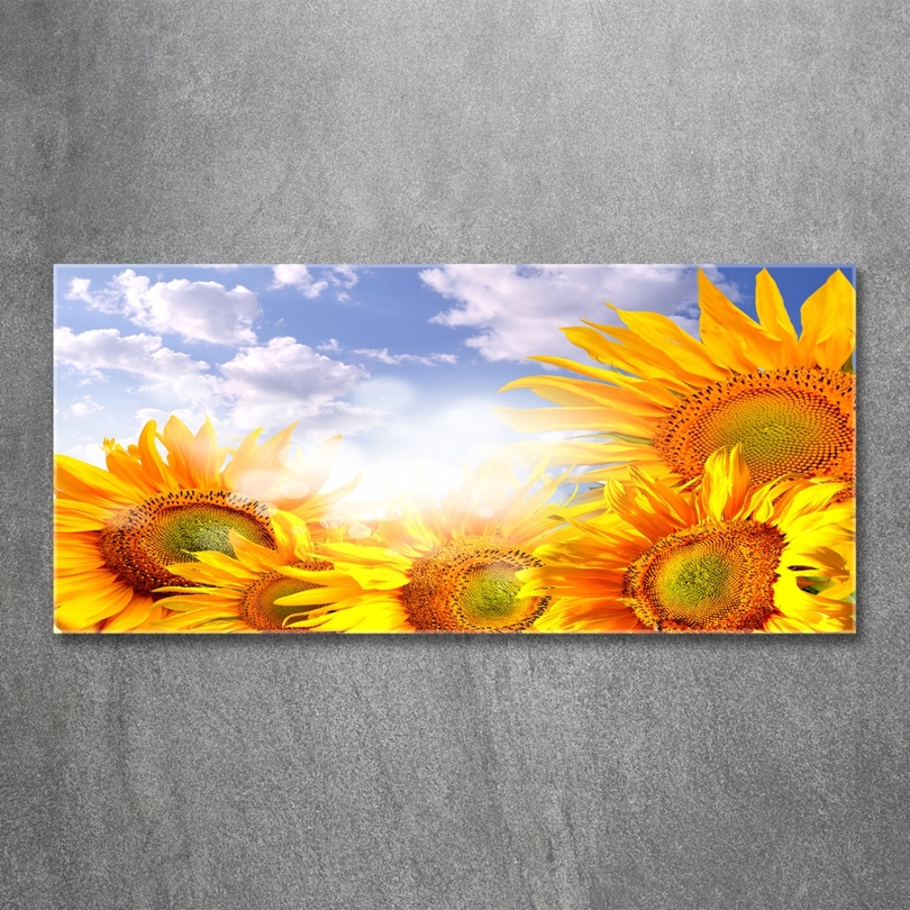 Glass wall art large Sunflowers