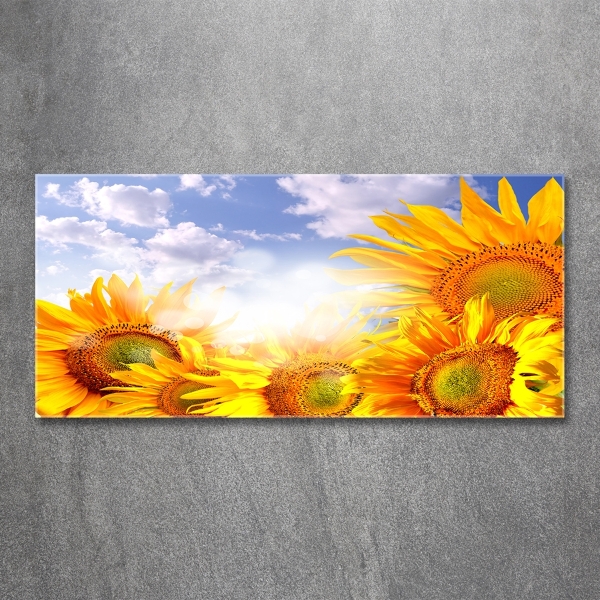 Glass wall art large Sunflowers