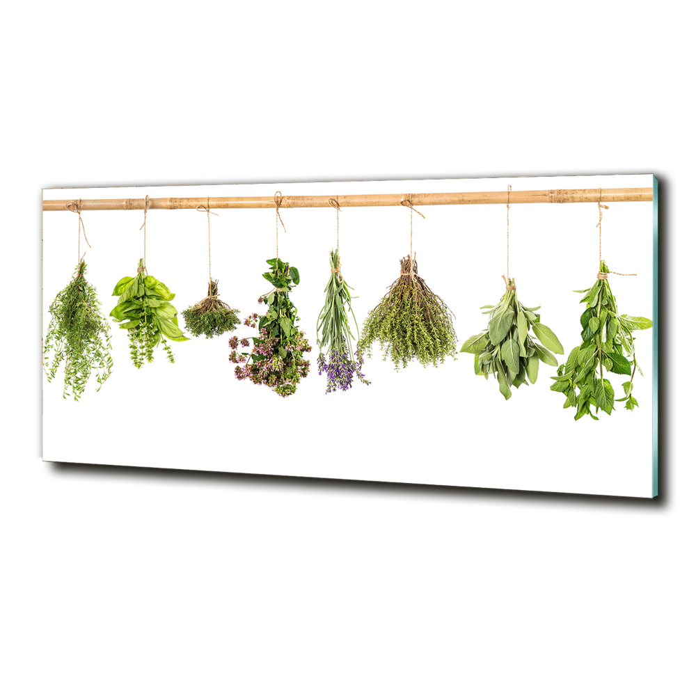 Printed glass wall art Herbs on a string