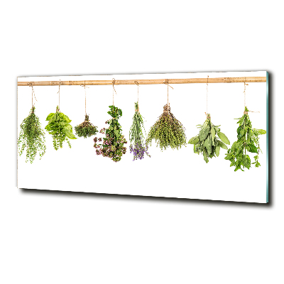 Printed glass wall art Herbs on a string