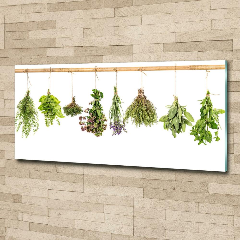 Printed glass wall art Herbs on a string