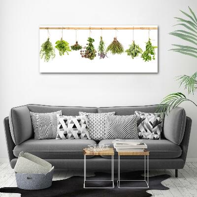 Printed glass wall art Herbs on a string