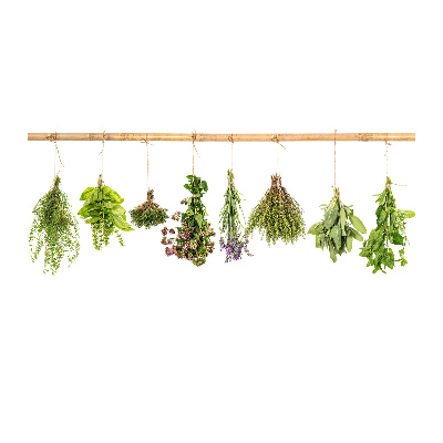 Printed glass wall art Herbs on a string