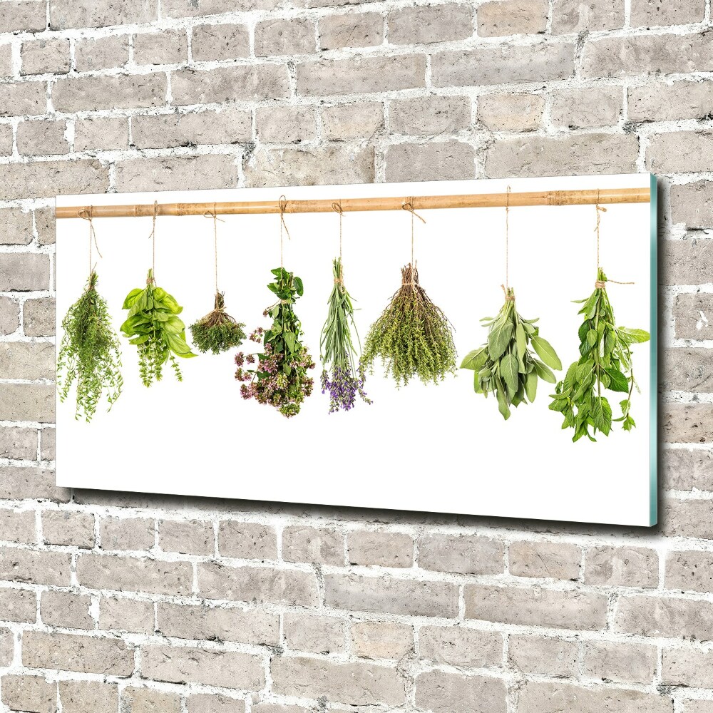 Printed glass wall art Herbs on a string